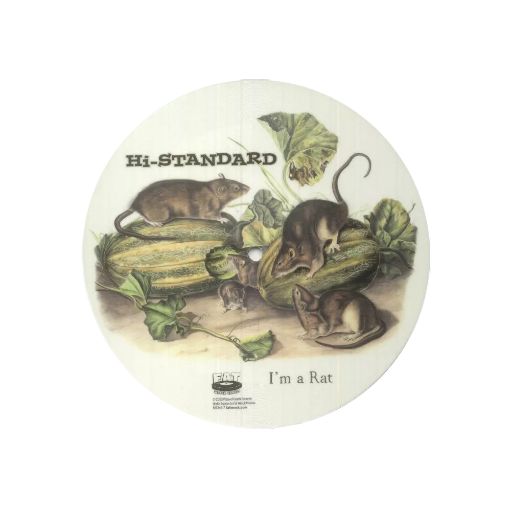 Hi-Standard - I'm a Rat (Picture)